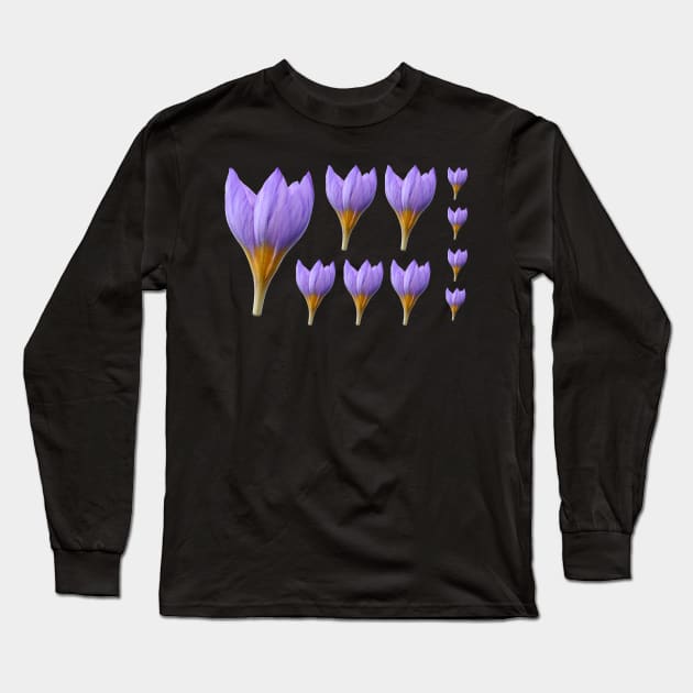 Crocus rujanensis Long Sleeve T-Shirt by chrisburrows